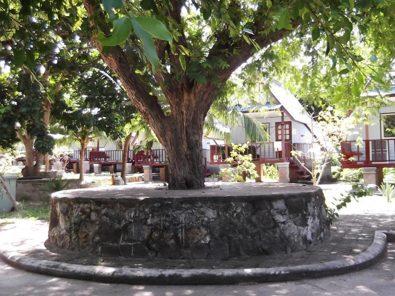 Koh Tao Garden Resort Exteriör bild